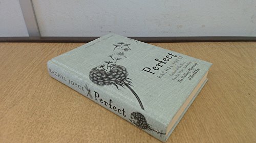 Perfect: A Novel