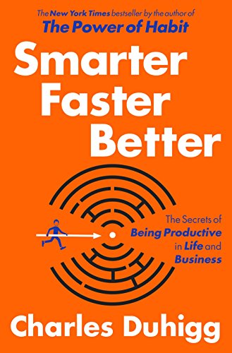 9780812993394: Smarter Faster Better: The Secrets of Being Productive in Life and Business