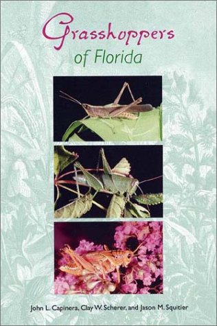 Stock image for Grasshoppers of Florida (Invertebrates of Florida Series) for sale by GF Books, Inc.