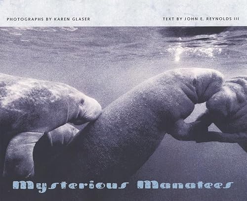 Imagen de archivo de Mysterious Manatees: Photographs by Karen Glaser a la venta por BookResQ.