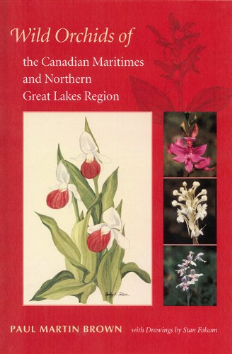 Stock image for Wild Orchids of the Canadian Maritimes and Northern Great Lakes Region for sale by ThriftBooks-Dallas