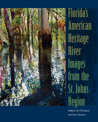 Stock image for FLORIDA'S AMERICAN HERITAGE RIVER: IMAGES FROM THE ST. JOHNS REGION for sale by GLOVER'S BOOKERY, ABAA