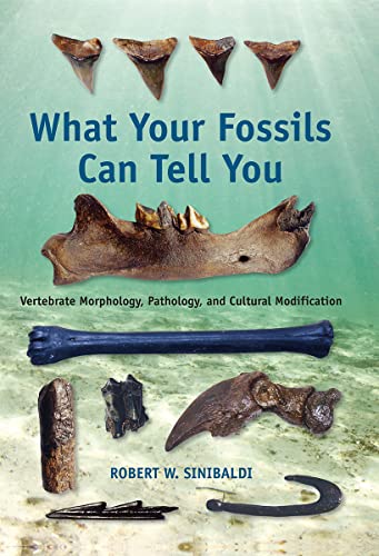 Imagen de archivo de What Your Fossils Can Tell You: Vertebrate Morphology, Pathology, and Cultural Modification a la venta por Ergodebooks