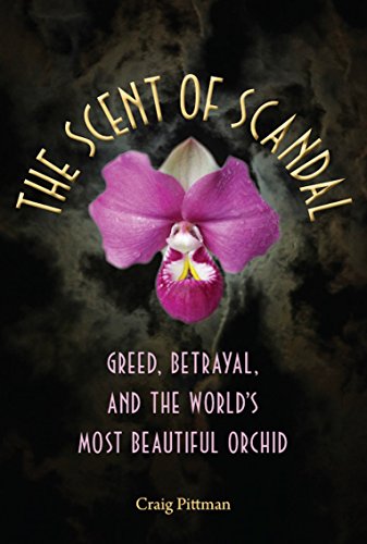 Stock image for The Scent of Scandal: Greed, Betrayal, and the World's Most Beautiful Orchid (Florida History and Culture) for sale by Fergies Books