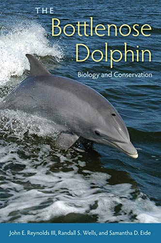 Beispielbild fr The Bottlenose Dolphin: Biology and Conservation zum Verkauf von Big River Books