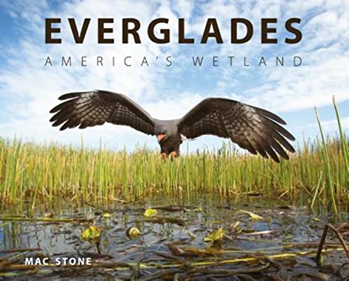 Imagen de archivo de EVERGLADES: AMERICA'S WETLAND a la venta por GLOVER'S BOOKERY, ABAA