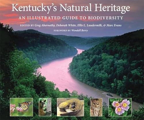 Stock image for Kentucky's Natural Heritage: An Illustrated Guide to Biodiversity for sale by Midtown Scholar Bookstore