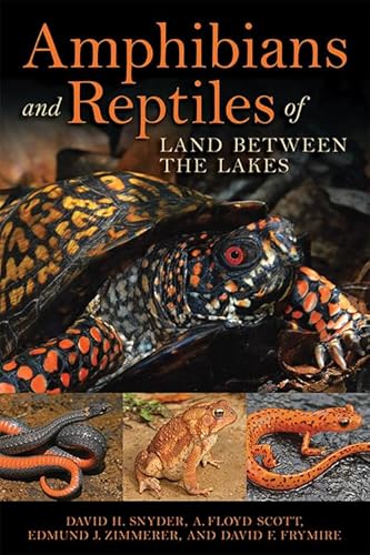 Stock image for Amphibians and Reptiles of Land Between the Lakes for sale by Midtown Scholar Bookstore