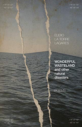 Imagen de archivo de Wonderful Wasteland and other natural disasters: Poems (Contemporary Poetry And Prose) a la venta por SecondSale