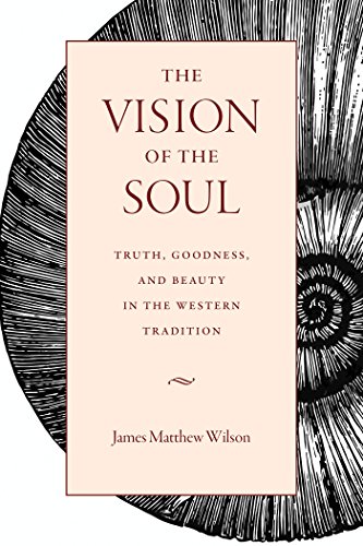 Beispielbild fr The Vision of the Soul zum Verkauf von Blackwell's