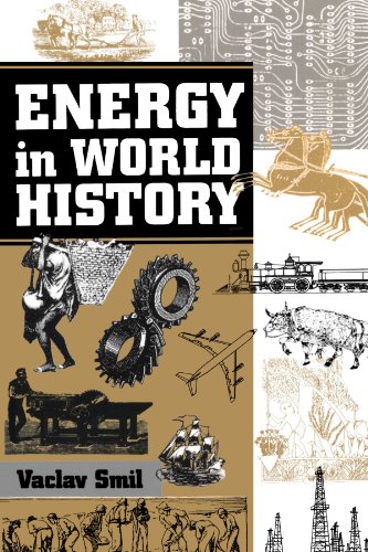 Beispielbild fr Energy In World History (Essays in World History) zum Verkauf von Jenson Books Inc