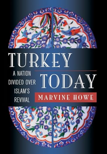 Imagen de archivo de Turkey Today: A Nation Divided over Islam's Revival a la venta por Works on Paper