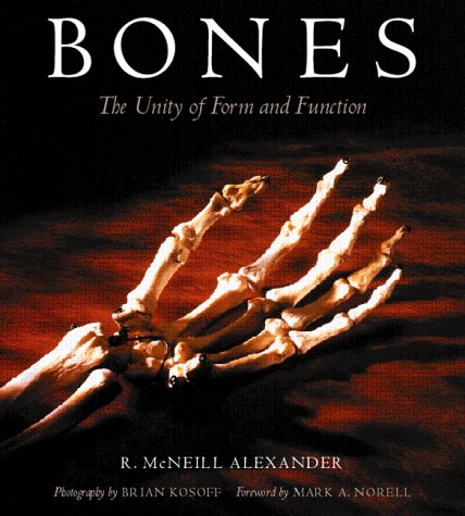 Stock image for Bones: The Unity Of Form And Function for sale by More Than Words