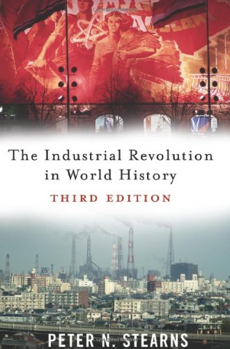 Imagen de archivo de The Industrial Revolution in World History a la venta por Wonder Book