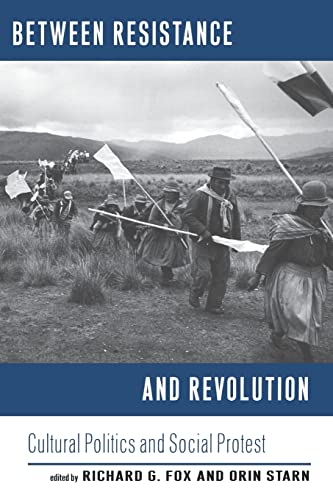 Beispielbild fr Between Resistance and Revolution: Cultural Politics and Social Protest zum Verkauf von Jenson Books Inc