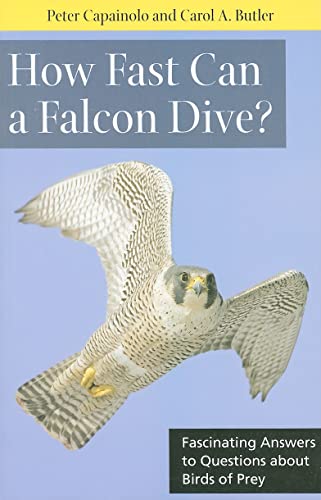 Beispielbild fr How Fast Can a Falcon Dive?: Fascinating Answers to Questions about Birds of Prey zum Verkauf von ThriftBooks-Dallas