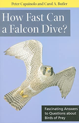 Stock image for How Fast Can a Falcon Dive? : Fascinating Answers to Questions about Birds of Prey for sale by Better World Books: West