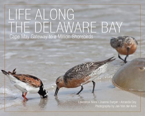 Beispielbild fr Life along the Delaware Bay : Cape May, Gateway to a Million Shorebirds zum Verkauf von Better World Books