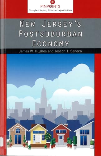 Imagen de archivo de New Jersey's Postsuburban Economy a la venta por Better World Books