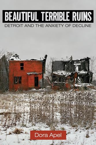 Stock image for Beautiful Terrible Ruins: Detroit and the Anxiety of Decline for sale by Midtown Scholar Bookstore