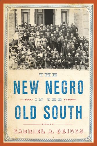 9780813574783: The New Negro in the Old South (The American Literatures Initiative)