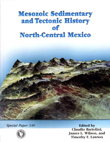 Imagen de archivo de Mesozoic Sedimentary and Tectonic History of North-Central Mexico (SPECIAL PAPER (GEOLOGICAL SOCIETY OF AMERICA)) a la venta por Mispah books