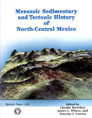 Stock image for Mesozoic Sedimentary and Tectonic History of North-Central Mexico (SPECIAL PAPER (GEOLOGICAL SOCIETY OF AMERICA)) for sale by Mispah books