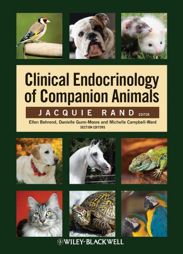 Clinical Endocrinology of Companion Animals - Rand, Jacquie