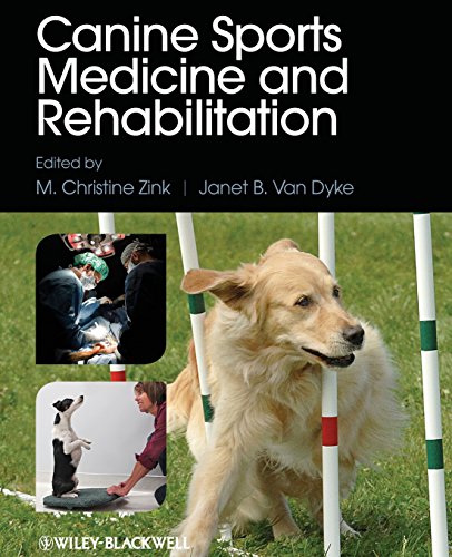Beispielbild fr Canine Sports Medicine and Rehabilitation zum Verkauf von HPB-Red
