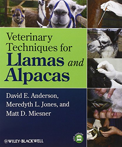 9780813819877: Veterinary Techniques for Llamas and Alpacas