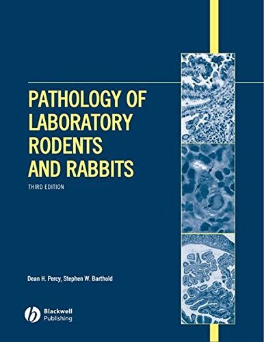 Stock image for Pathology of Laboratory Rodents and Rabbits, Third Edition for sale by HPB-Red