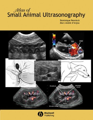 9780813828008: Atlas of Small Animal Ultrasonography