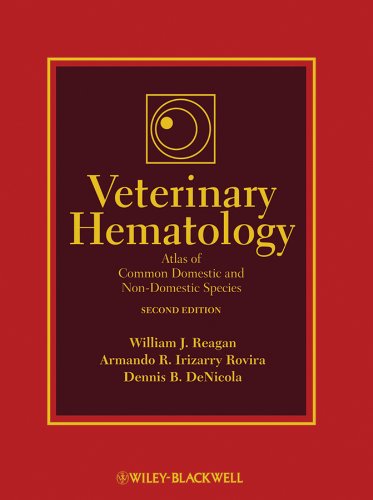 Stock image for Veterinary Hematology: Atlas of Common Domestic and Non-Domestic Species for sale by ZBK Books
