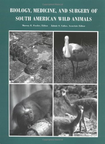 Stock image for Biology, Medicine and Surgery of the South American Wild Animals for sale by AwesomeBooks