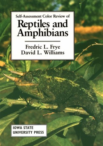 Stock image for Self-Assessment Color Review of Reptiles and Amphibians for sale by Bookmans