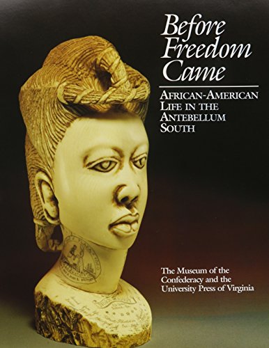 Stock image for Before Freedom Came: African-American Life in the Antebellum South (American Library Association Notable Book) for sale by SecondSale