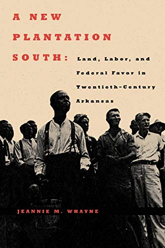 9780813925943: A New Plantation South: Land, Labor, and Federal Favor in Twentieth-Century Arkansas