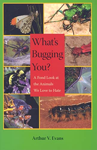 Imagen de archivo de What's Bugging You? : A Fond Look at the Animals We Love to Hate a la venta por Better World Books