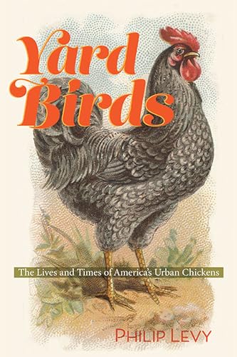 Stock image for Yard Birds: The Lives and Times of America  s Urban Chickens for sale by Open Books
