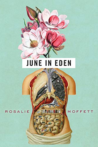 Imagen de archivo de June in Eden a la venta por Russell Books