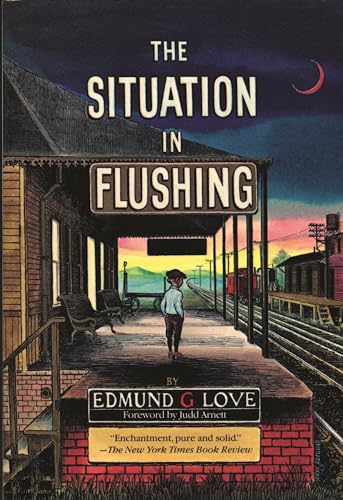 Stock image for The Situation in Flushing (Great Lakes Books) for sale by BooksRun