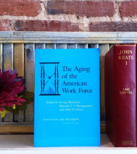 Stock image for The Aging of the American Workforce: Problems, Programs, Policies (Labor Economics and Policy Series) for sale by SatelliteBooks