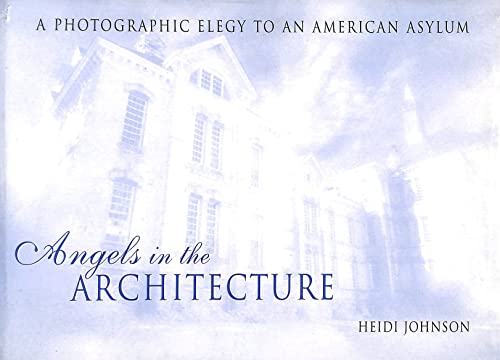 Stock image for Angels in the Architecture: A Photographic Elegy to an American Asylum (Great Lakes Books) for sale by Half Price Books Inc.