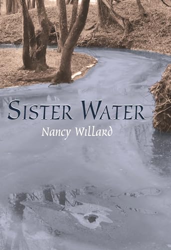 9780814332443: Sister Water: A Novel (Landscapes of Childhood)