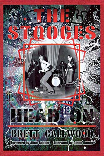 Imagen de archivo de The Stooges: Head On, a Journey Through the Michigan Underground (Painted Turtle Books (Paperback)) a la venta por HPB-Ruby