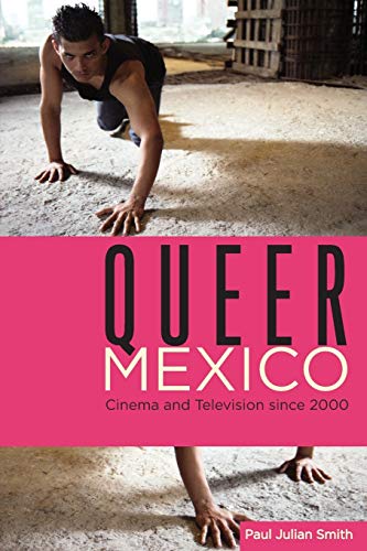 9780814342749: Queer Mexico: Cinema and Television Since 2000 (Queer Screens)