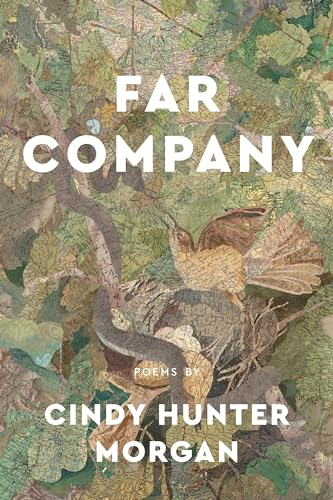 Stock image for Far Company (Made in Michigan Writers Series) for sale by Magers and Quinn Booksellers