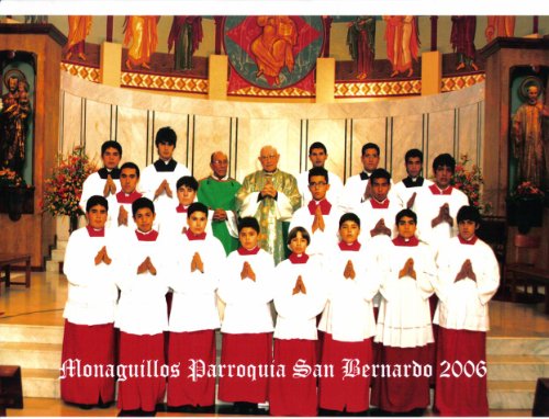 9780814621745: Ministerio De Los Monaguillos, El (Collegeville Ministry Series) (Spanish Edition)