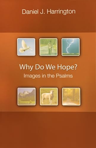 Beispielbild fr Why Do We Hope?: Images in the Psalms zum Verkauf von HPB-Red