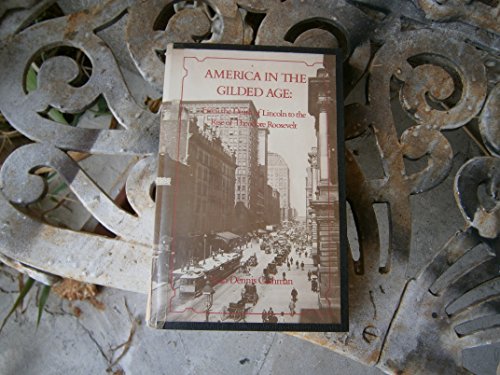 9780814713877: America in the Gilded Age